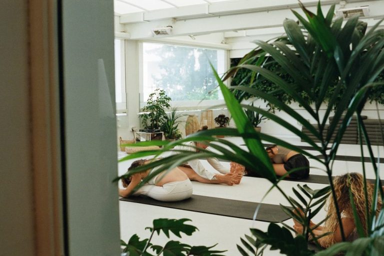 Vinyasa Yoga 2.1
