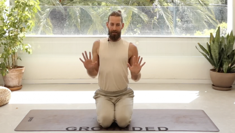 how to chaturanga