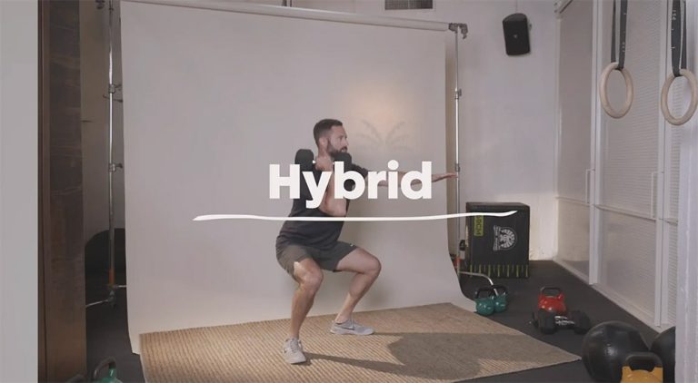 Hybrid